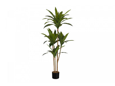 51" Dracaena Plant With 5" Black Pot - Green