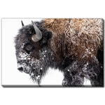 Winter Coat Wall Art - Brown - 38 X 60
