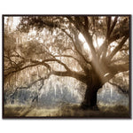 Tree of Light Wall Art - Brown - 40 X 50