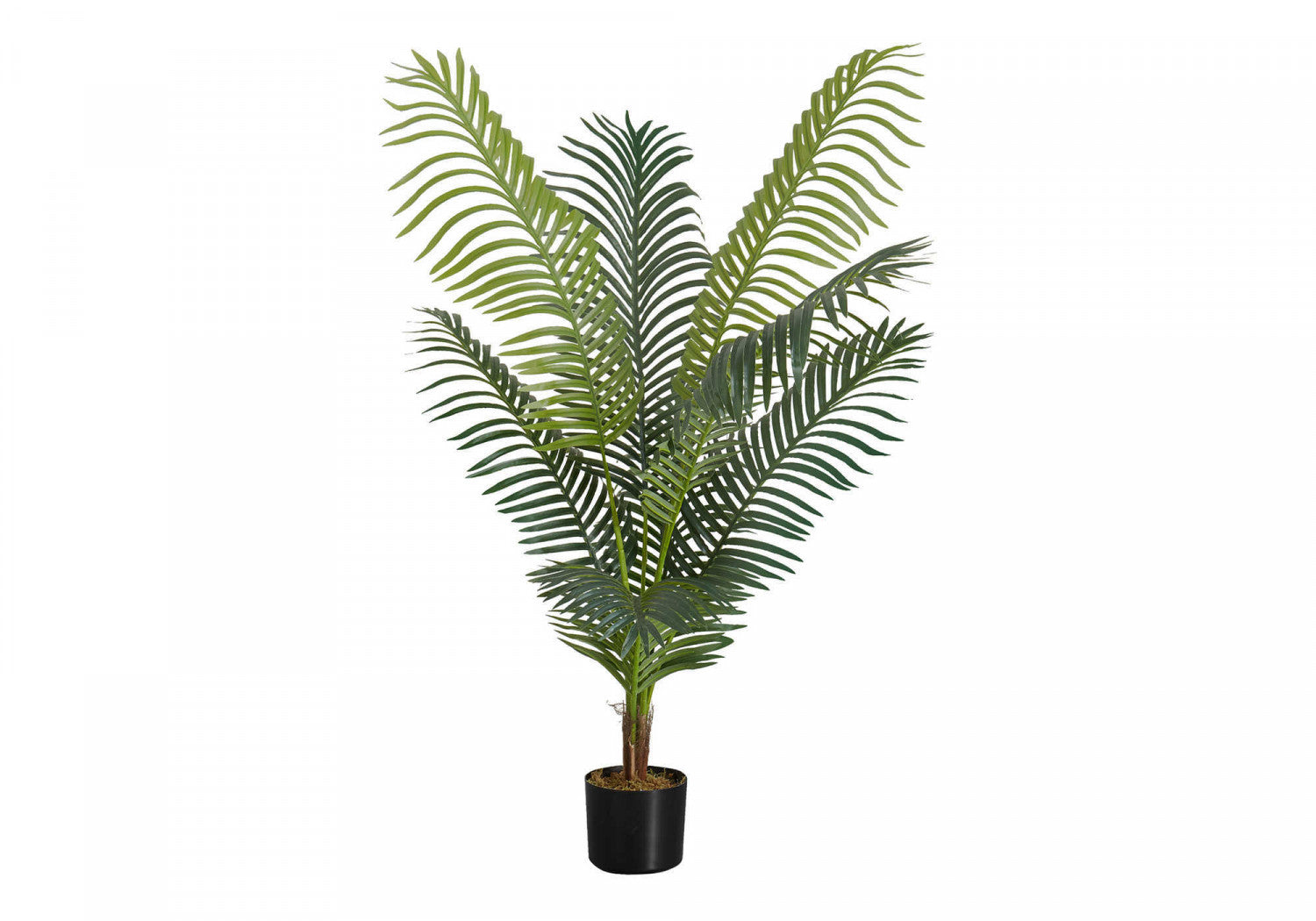 47" Palm Tree With 6" Black Pot - Green