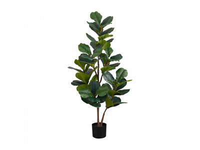 49" Fiddle Tree With 5" Black Pot - Green