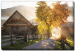 Sunlit Farm Lane Wall Art - Green/Brown - 38 X 60