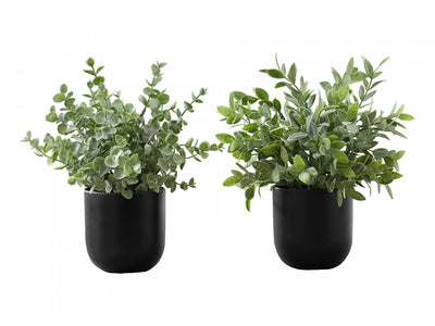11" Eucalyptus Grass Plant With 5" Black Pot - Green - Set of Two