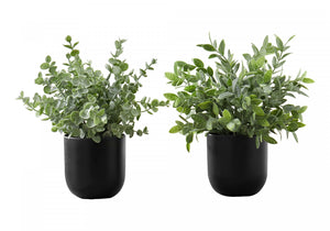 11" Eucalyptus Grass Plant With 5" Black Pot - Green - Set of Two