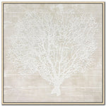 Sea Lace I Wall Art - White - 30 X 30