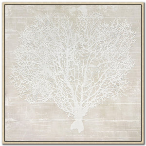 Sea Lace I Wall Art - White - 30 X 30