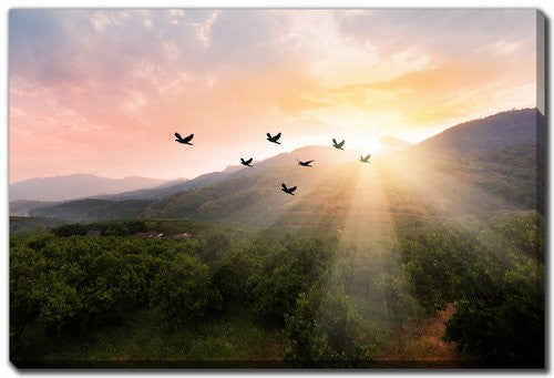 Rise and Soar Wall Art - Green/Orange - 16 X 20