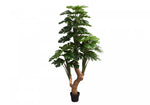 83" Monstera Tree With 8" Black Pot - Green