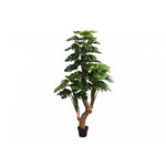 83" Monstera Tree With 8" Black Pot - Green