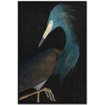 Twilight Feathers II Wall Art - Teal - 48 X 32
