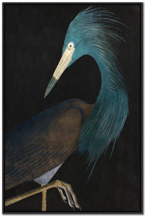 Twilight Feathers II Wall Art - Teal - 48 X 32