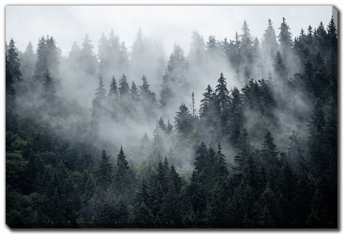 Fog Over The Ridge Wall Art - Green - 22 X 28