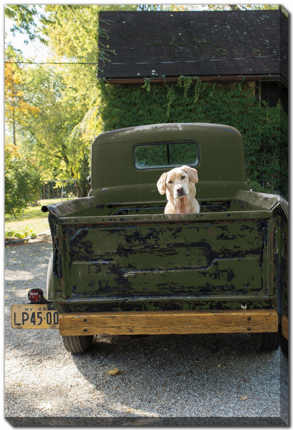Tailgate Traveler Wall Art - Green - 38 X 60