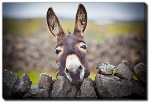 Behind the Wall Art - Brown - 16 X 20