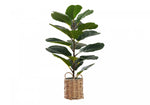 28" Fiddle Tree With 8" Woven Basket Pot - Green