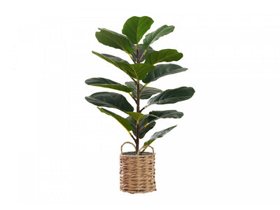 28" Fiddle Tree With 8" Woven Basket Pot - Green