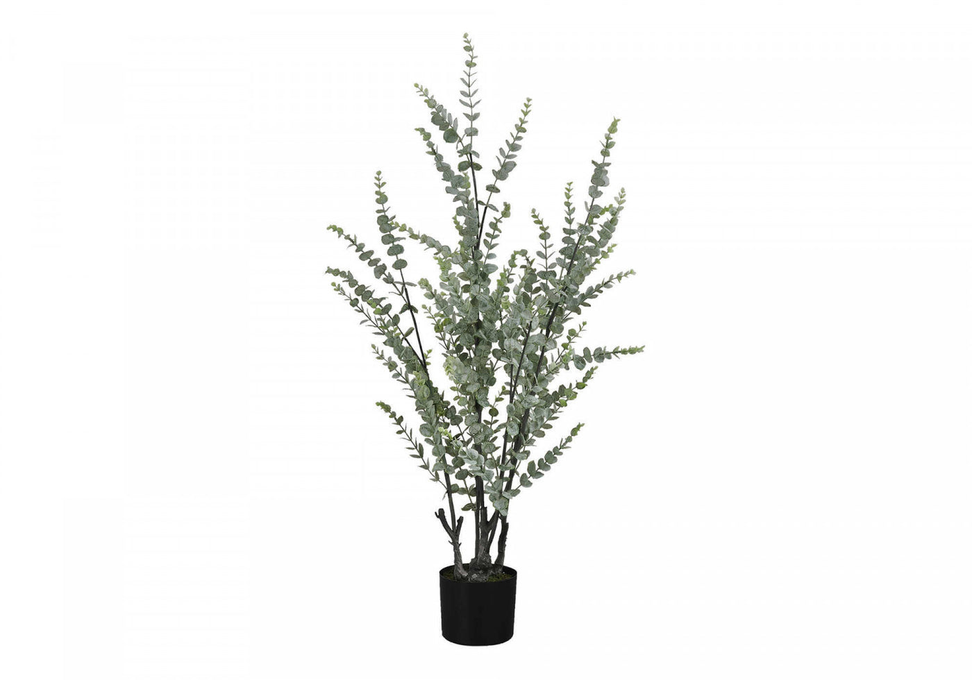 44" Eucalyptus Plant With 5" Black Pot - Green