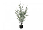 44" Eucalyptus Plant With 5" Black Pot - Green