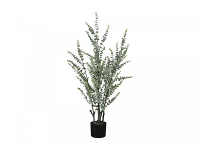 44" Eucalyptus Plant With 5" Black Pot - Green