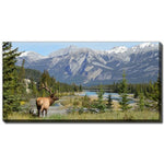 Wilderness Gaze Wall Art - Blue/Green - 20 X 40