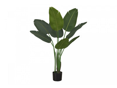 44" Bird Of Paradise Plant With 5" Black Pot - Green