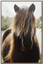 Shaggy Equine Wall Art - Brown - 45 X 30