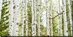 Birch Harmony Wall Art - Green - 10 X 20