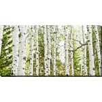 Birch Harmony Wall Art - Green - 10 X 20