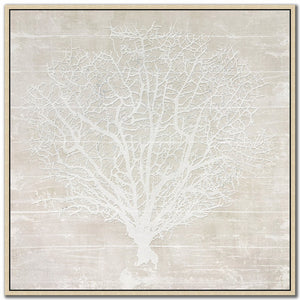 Sea Lace II Wall Art - White - 30 X 30