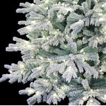 Kleber 6ft Blue Spruce Snow Angel Flocked Pre-Lit LED Christmas Tree - Clear
