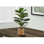28" Fiddle Tree With 8" Woven Basket Pot - Green
