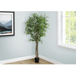 79" Ficus Tree With 8" Black Pot - Green