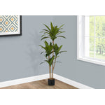 51" Dracaena Plant With 5" Black Pot - Green