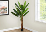 83" Banana Tree With 8" Black Pot - Green