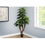83" Monstera Tree With 8" Black Pot - Green