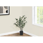 35" Eucalyptus Plant With 5" Black Pot - Green