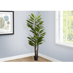 83" Dracaena Tree With 8" Black Pot - Green