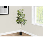 52" Rubber Tree With 5" Black Pot - Green/White