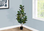 49" Fiddle Tree With 5" Black Pot - Green