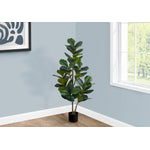 49" Fiddle Tree With 5" Black Pot - Green