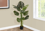55" Monstera Plant With 6" Black Pot - Green