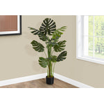 55" Monstera Plant With 6" Black Pot - Green