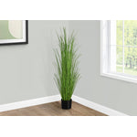 47" Grass Plant With 5" Black Pot - Green
