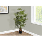 47" Areca Tree With 5" Black Pot - Green