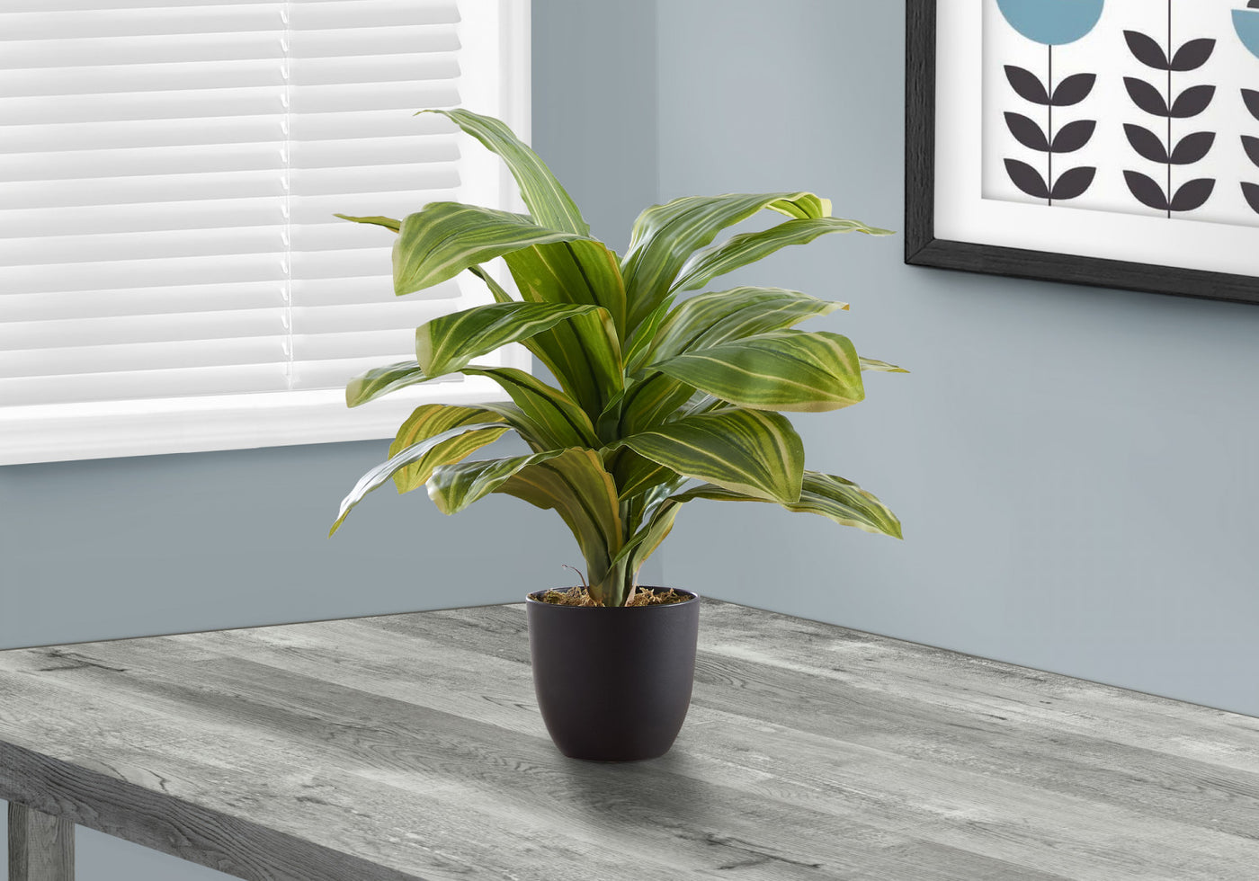 17" Dracaena Plant With 4" Black Pot - Green