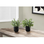 11" Eucalyptus Grass Plant With 5" Black Pot - Green - Set of Two