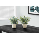 13" Eucalyptus Grass Plant With 4" White Pot - Green - Set of Two