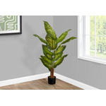 47" Evergreen Plant With 5" Black Pot - Green