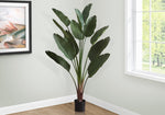 83" Bird Of Paradise Plant With 8" Black Pot - Green