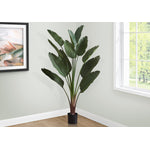 83" Bird Of Paradise Plant With 8" Black Pot - Green